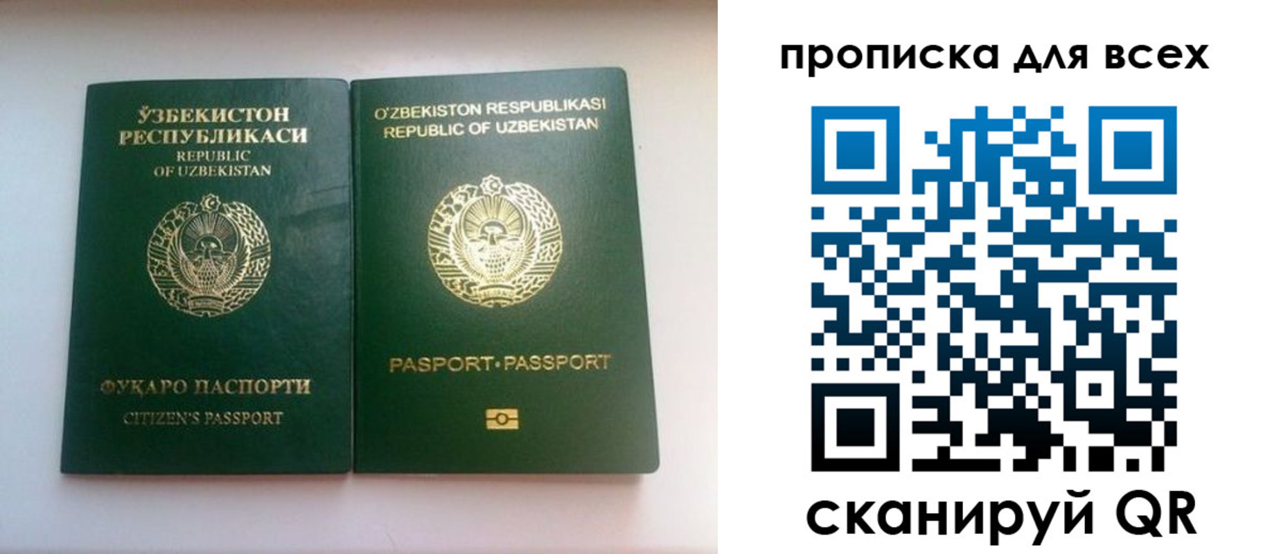 прописка для школы в Эртили